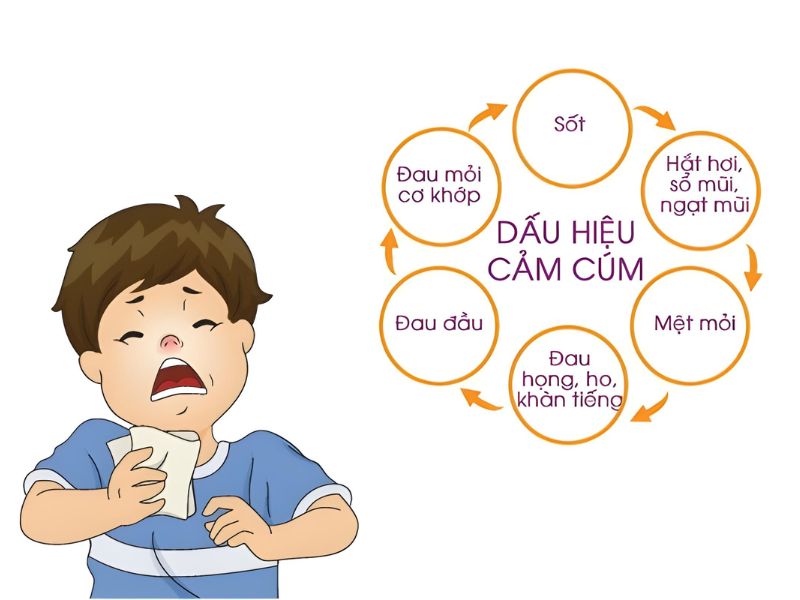 Các triệu chứng của cảm cúm