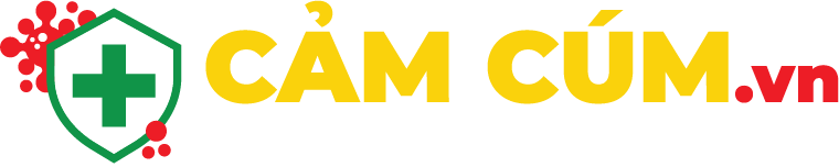 thông tin bệnh cảm cúm