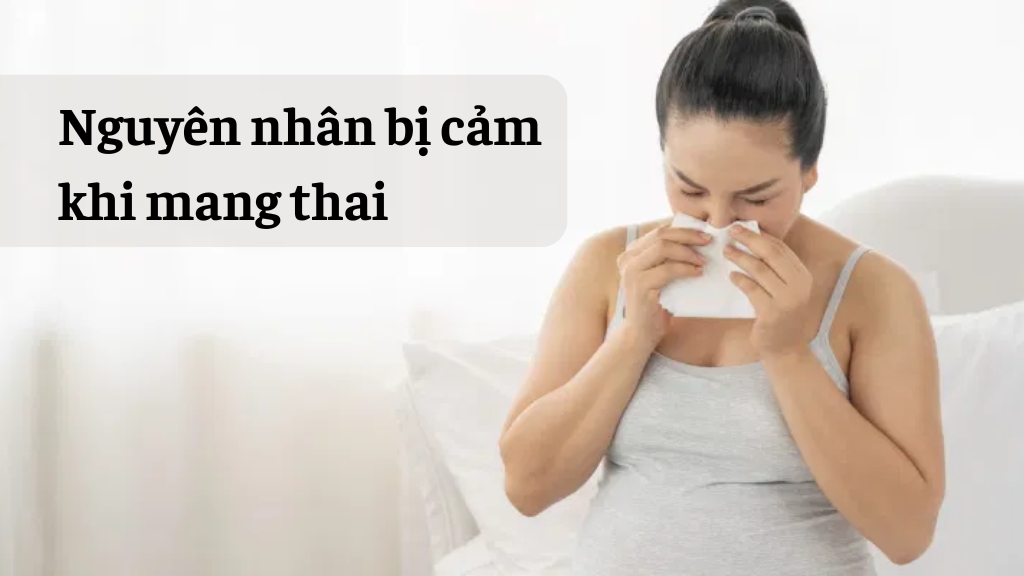 Nguyên nhân bị cảm khi mang thai