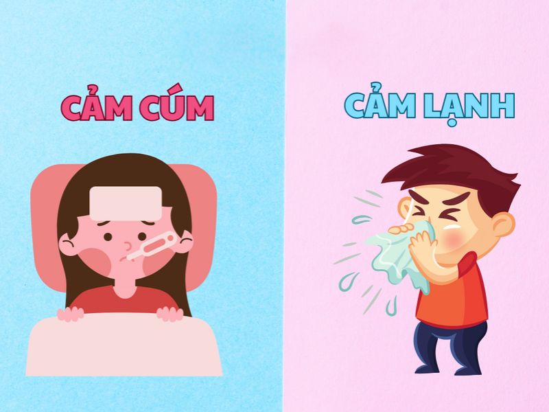 Cảm cúm khác với cảm lạnh