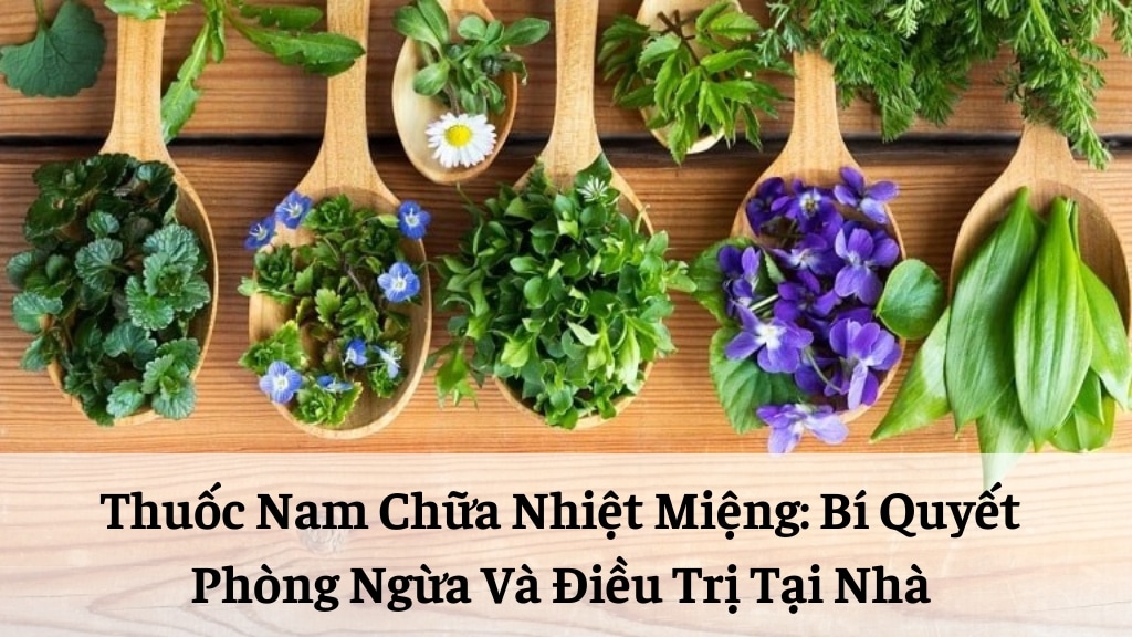 thuốc nam chữa nhiệt miệng