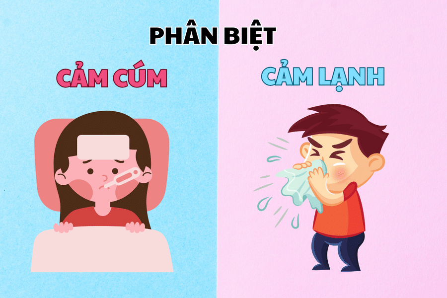 Cảm Lạnh Và Cảm Cúm: Sự Khác Biệt Và Cách Phòng Tránh