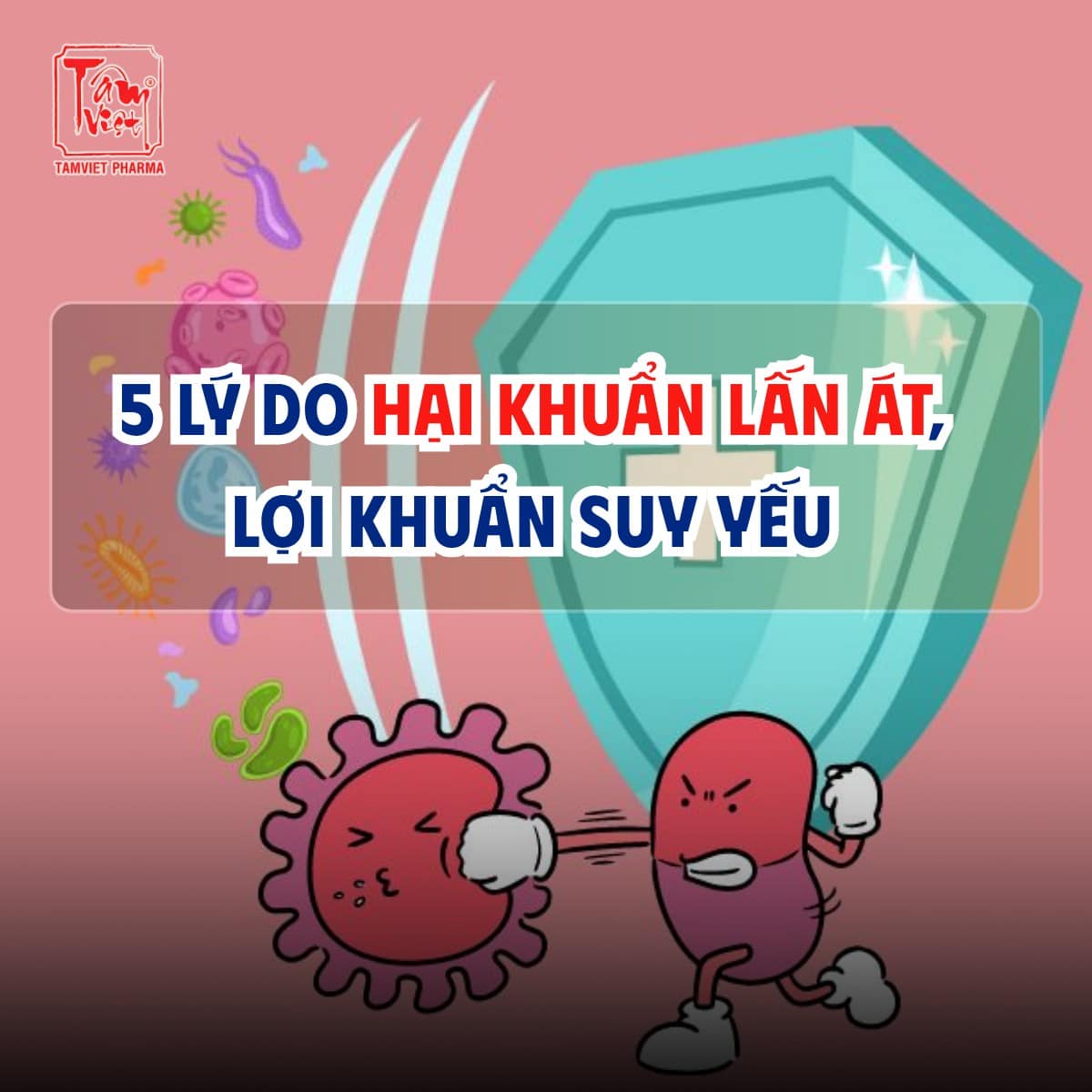 𝟓 𝐥𝐲́ 𝐝𝐨 𝐡𝐚̣𝐢 𝐤𝐡𝐮𝐚̂̉𝐧 𝐥𝐚̂́𝐧 𝐚́𝐭, 𝐥𝐨̛̣𝐢 𝐤𝐡𝐮𝐚̂̉𝐧 𝐬𝐮𝐲 𝐲𝐞̂́𝐮!