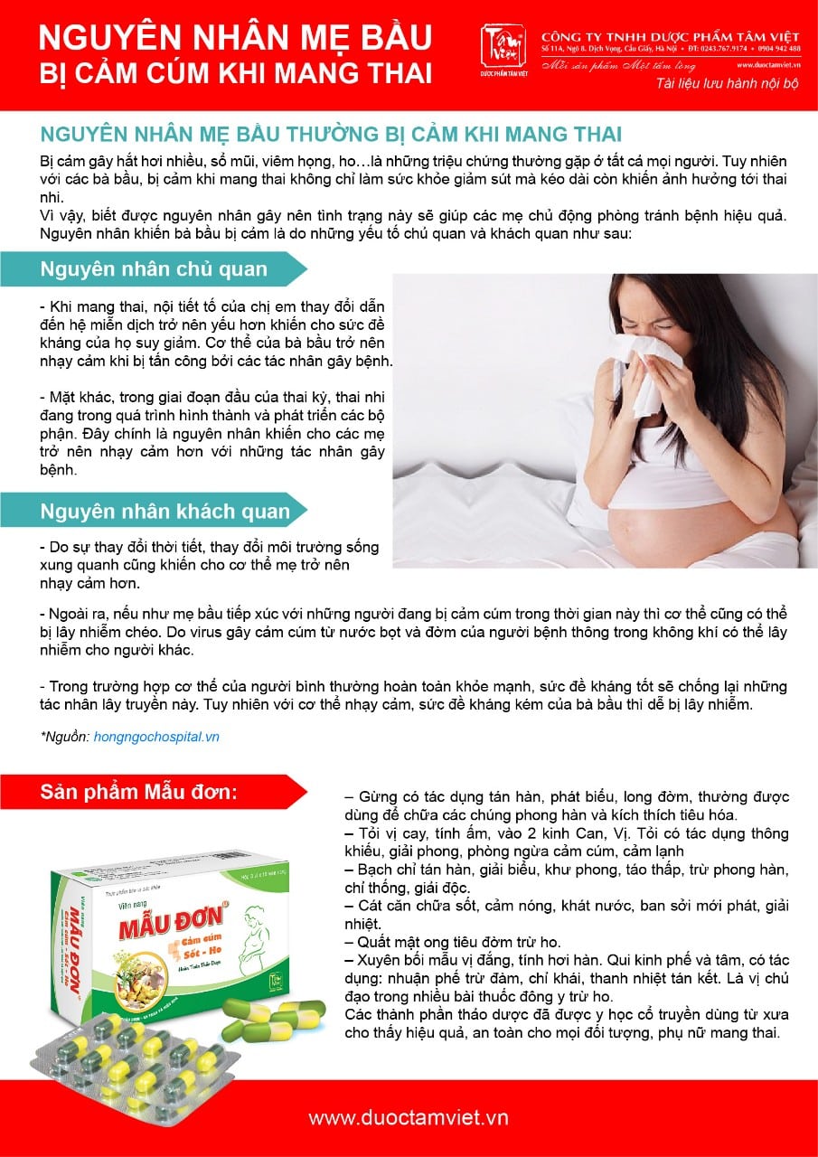 NGUYÊN NHÂN MẸ BẦU BỊ CẢM CÚM KHI MANG THAI