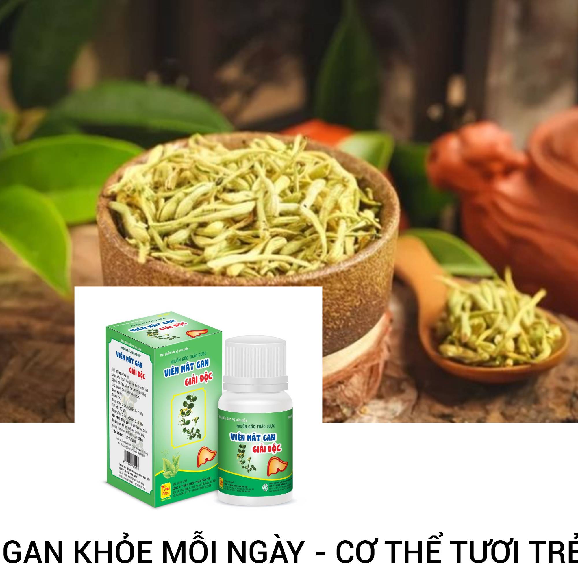 GAN KHỎE MỖI NGÀY - CƠ THỂ TƯƠI TRẺ
