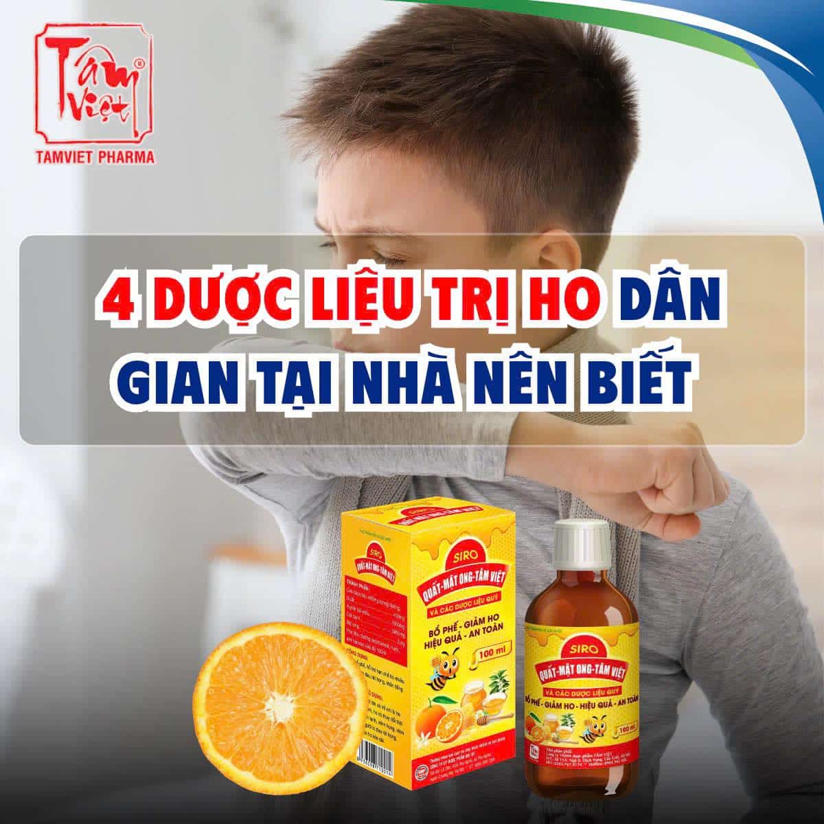 4 DƯỢC LIỆU TRỊ HO DÂN GIAN TẠI NHÀ NÊN BIẾT