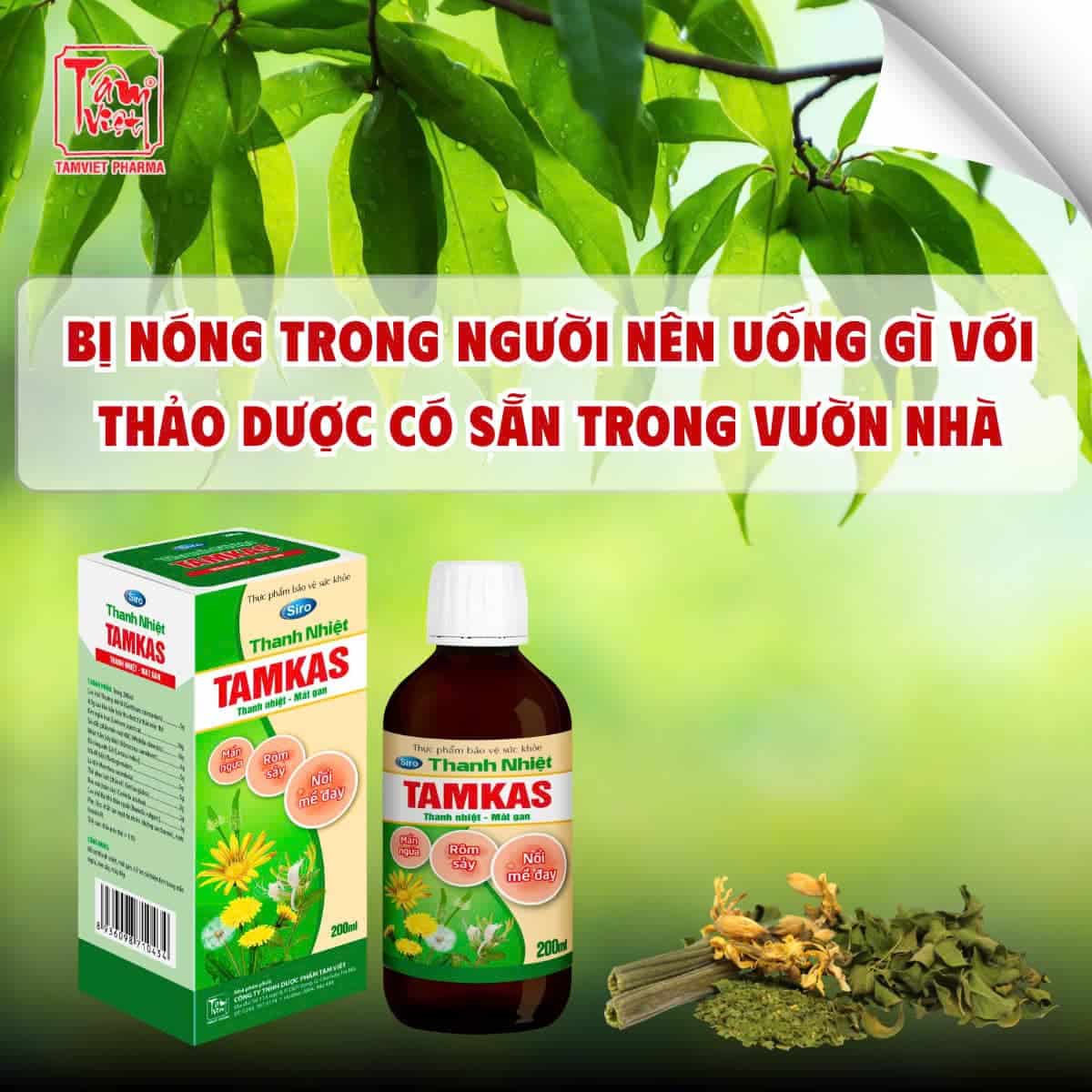 BỊ NÓNG TRONG NGƯỜI NÊN UỐNG GÌ? TOP THẢO DƯỢC CÓ SẴN TRONG VƯỜN NHÀ