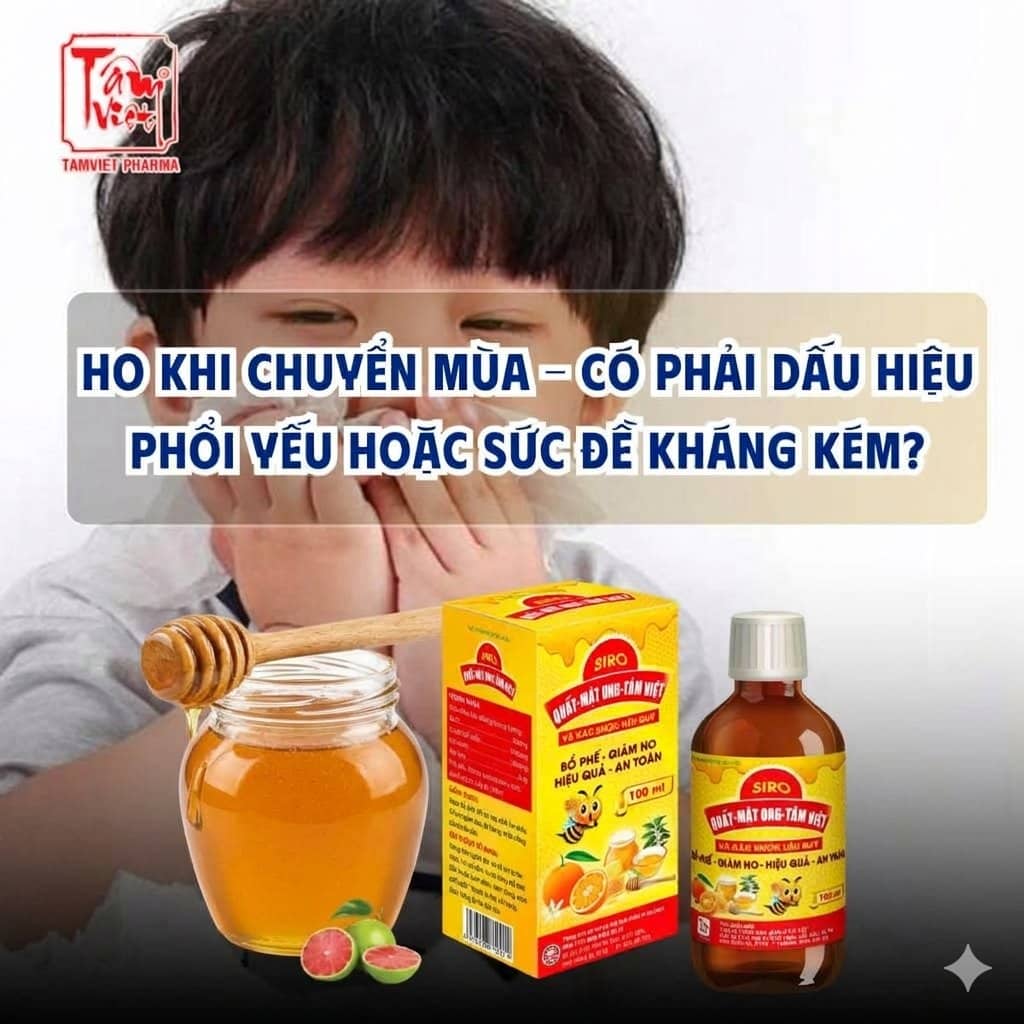HO KHI CHUYỂN MÙA: DẤU HIỆU CẢNH BÁO PHỔI YẾU VÀ SỨC ĐỀ KHÁNG SUY GIẢM